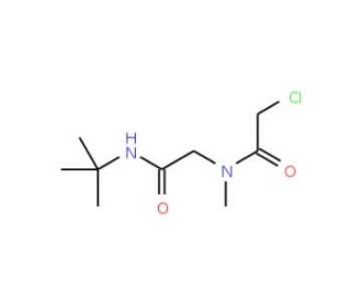 N-[2-(tert-butylamino)-2-oxoethyl]-2-chloro-N-methylacetamide - chemical structure image