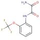 N-(2-Trifluoromethoxy-phenyl)-oxalamide - chemical structure image