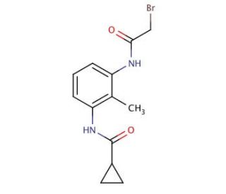 N-{3-[(2-Bromoacetyl)amino]-2-methylphenyl}cyclopropanecarboxamide (CAS 1138443-78-3) - chemical structure image