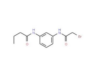 N-{3-[(2-Bromoacetyl)amino]phenyl}butanamide - chemical structure image