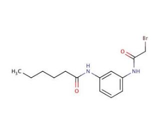 N-{3-[(2-Bromoacetyl)amino]phenyl}hexanamide - chemical structure image