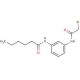 N-{3-[(2-Bromoacetyl)amino]phenyl}hexanamide - chemical structure image