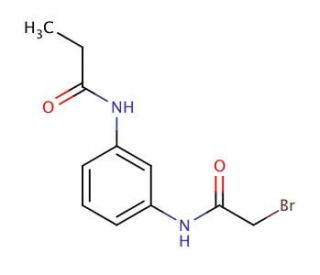 N-{3-[(2-Bromoacetyl)amino]phenyl}propanamide - chemical structure image