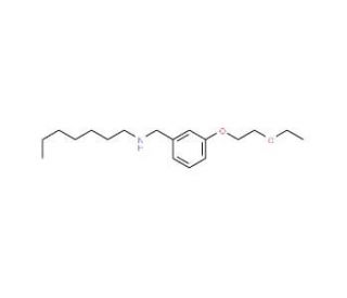N-[3-(2-Ethoxyethoxy)benzyl]-1-heptanamine - chemical structure image
