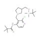 N-(3-((3-((tert-Butyldimethylsilyloxy)methyl)pyrrolidin-1-yl)methyl)-2-chloropyridin-4-yl)pivalamide - chemical structure ima