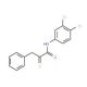 N-(3,4-Dichlorophenyl)-3-phenyl-2-thioxopropanamide - chemical structure image