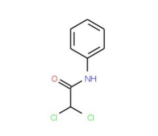 N-(3,4-Dichlorophenyl)acetamide (CAS 31620-87-8) - chemical structure image