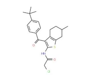 N-[3-(4-tert-Butyl-benzoyl)-6-methyl-4,5,6,7-tetrahydro-benzo[b]thiophen-2-yl]-2-chloro-acetamide - chemical structure image