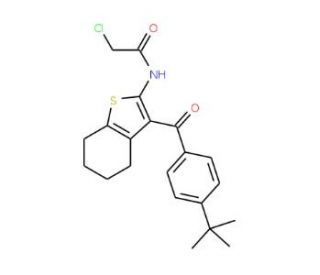 N-[3-(4-tert-butylbenzoyl)-4,5,6,7-tetrahydro-1-benzothien-2-yl]-2-chloroacetamide - chemical structure image