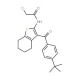 N-[3-(4-tert-butylbenzoyl)-4,5,6,7-tetrahydro-1-benzothien-2-yl]-2-chloroacetamide - chemical structure image