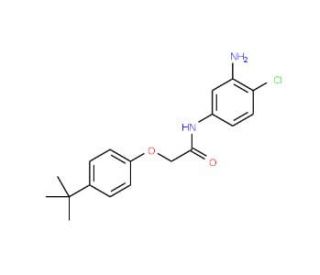 N-(3-Amino-4-chlorophenyl)-2-[4-(tert-butyl)-phenoxy]acetamide - chemical structure image