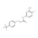N-(3-Amino-4-chlorophenyl)-2-[4-(tert-butyl)-phenoxy]acetamide - chemical structure image