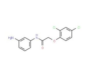 N-(3-Aminophenyl)-2-(2,4-dichlorophenoxy)acetamide - chemical structure image