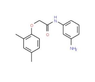 N-(3-Aminophenyl)-2-(2,4-dimethylphenoxy)acetamide - chemical structure image