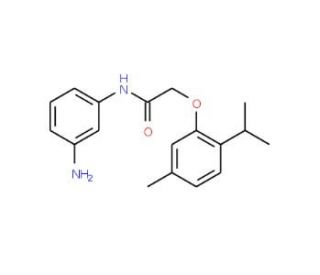 N-(3-Aminophenyl)-2-(2-isopropyl-5-methylphenoxy)acetamide - chemical structure image