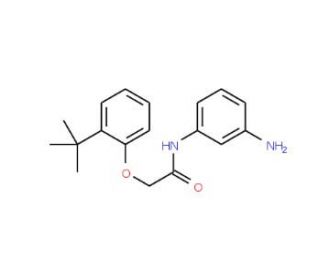 N-(3-Aminophenyl)-2-[2-(tert-butyl)phenoxy]-acetamide - chemical structure image