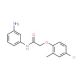 N-(3-Aminophenyl)-2-(4-chloro-2-methylphenoxy)-acetamide - chemical structure image