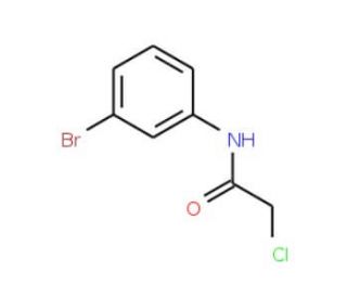N-(3-Bromophenyl)-2-chloroacetamide (CAS 2564-03-6) - chemical structure image
