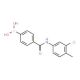 N-(3-Chloro-4-methylphenyl) 4-boronobenzamide (CAS 913835-37-7) - chemical structure image