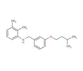 N-[3-(Isopentyloxy)benzyl]-2,3-dimethylaniline - chemical structure image