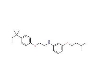 N-[3-(Isopentyloxy)phenyl]-N-{2-[4-(tert-pentyl)-phenoxy]ethyl}amine - chemical structure image