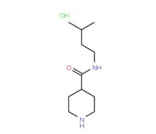 N-(3-methylbutyl)piperidine-4-carboxamide hydrochloride - chemical structure image