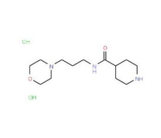 N-[3-(morpholin-4-yl)propyl]piperidine-4-carboxamide dihydrochloride - chemical structure image