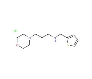 N-(3-morpholin-4-ylpropyl)-N-(thien-2-ylmethyl)amine hydrochloride - chemical structure image