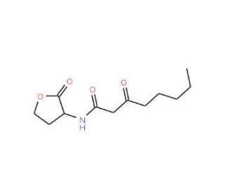 N-(3-Oxooctanoyl)-DL-homoserine lactone (CAS 106983-27-1) - chemical structure image