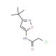 N-(3-tert-Butyl-isoxazol-5-yl)-2-chloro-acetamide - chemical structure image