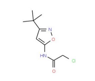 N-(3-tert-butylisoxazol-5-yl)-2-chloroacetamide (CAS 668980-81-2) - chemical structure image