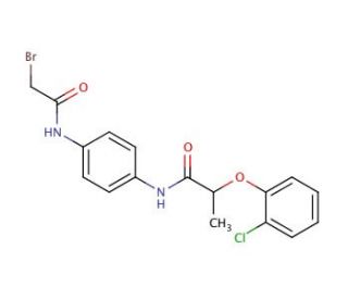 N-{4-[(2-Bromoacetyl)amino]phenyl}-2-(2-chlorophenoxy)propanamide - chemical structure image
