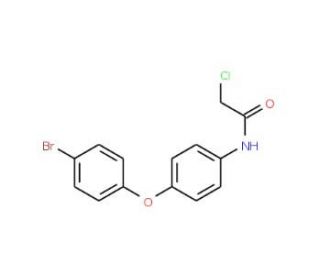N-[4-(4-bromophenoxy)phenyl]-2-chloroacetamide (CAS 36160-96-0) - chemical structure image