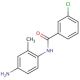 N-(4-Amino-2-methylphenyl)-3-chlorobenzamide - chemical structure image