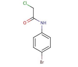 N-(4-Bromophenyl)-2-chloroacetamide (CAS 2564-02-5) - chemical structure image