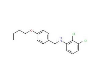 N-(4-Butoxybenzyl)-2,3-dichloroaniline - chemical structure image