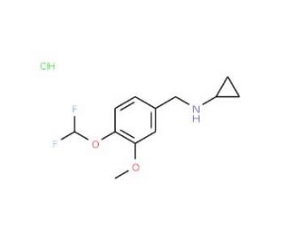 N-[4-(difluoromethoxy)-3-methoxybenzyl]cyclopropanamine hydrochloride - chemical structure image