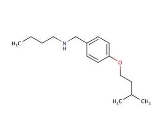 N-[4-(Isopentyloxy)benzyl]-1-butanamine (CAS 1036438-15-9) - chemical structure image