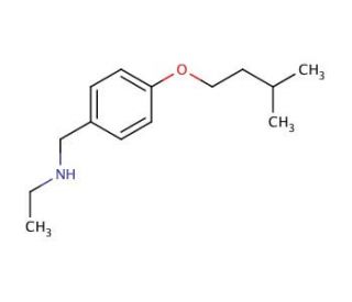 N-[4-(Isopentyloxy)benzyl]-1-ethanamine - chemical structure image