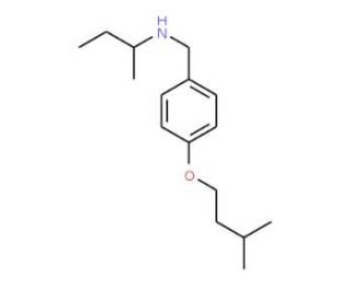 N-[4-(Isopentyloxy)benzyl]-2-butanamine - chemical structure image