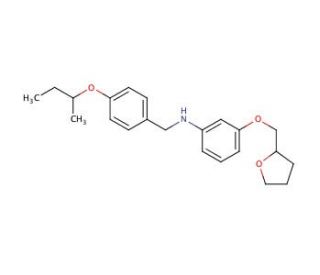 N-[4-(sec-Butoxy)benzyl]-3-(tetrahydro-2-furanylmethoxy)aniline - chemical structure image