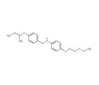 N-[4-(sec-Butoxy)benzyl]-4-(2-ethoxyethoxy)aniline - chemical structure image