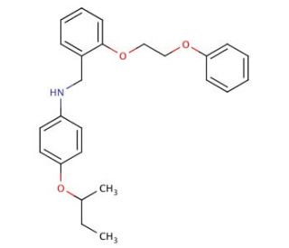 N-[4-(sec-Butoxy)phenyl]-N-[2-(2-phenoxyethoxy)-benzyl]amine (CAS 1040685-51-5) - chemical structure image