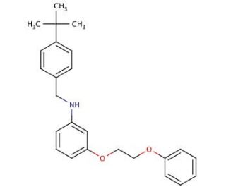 N-[4-(tert-Butyl)benzyl]-3-(2-phenoxyethoxy)-aniline (CAS 1040686-14-3) - chemical structure image