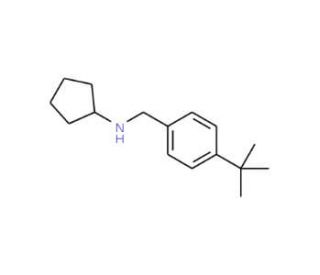 N-[4-(tert-Butyl)benzyl]cyclopentanamine - chemical structure image