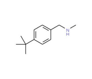 N-(4-tert-butylbenzyl)-N-methylamine (CAS 65542-26-9) - chemical structure image