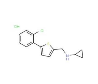 N-{[5-(2-chlorophenyl)thien-2-yl]methyl}-N-cyclopropylamine hydrochloride - chemical structure image