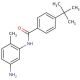 N-(5-Amino-2-methylphenyl)-4-(tert-butyl)benzamide - chemical structure image