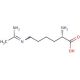 N-(5-Amino-5-carboxypentyl)acetamidine (CAS 53774-63-3) - chemical structure image