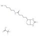 N-(5-Aminopentyl)biotinamide trifluoroacetate salt - chemical structure image